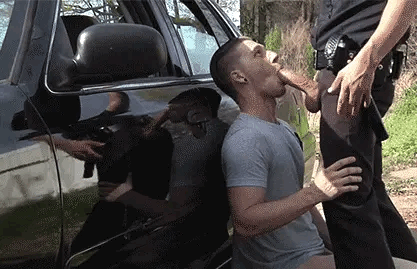 1D33B109-E46E-4BCE-A6B4-9F57FF0B720C.gif