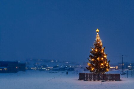 a-christmas-tree-in-nuuk-in-greenland-on-a-snowy-december-afternoon.jpg
