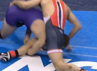 wrestling 25.gif
