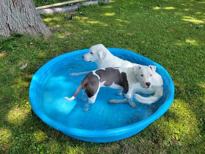 1000004213.jpg 1000004213.jpg