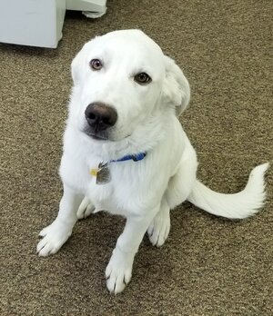 1000005020.jpg 1000005020.jpg