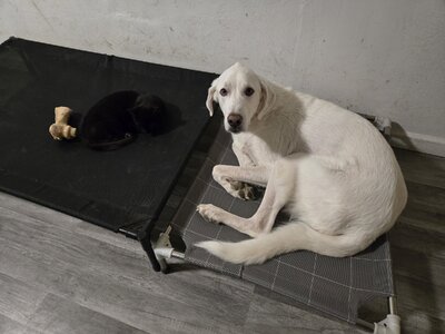 1000007017.jpg 1000007017.jpg