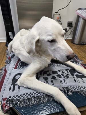 1000007393.jpg 1000007393.jpg