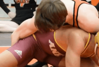 wrestling 23.gif