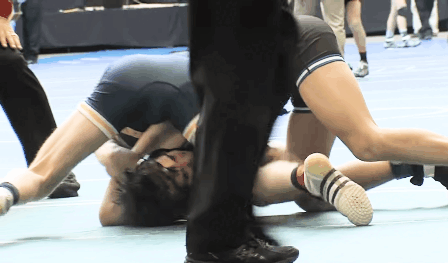 wrestling 22.gif