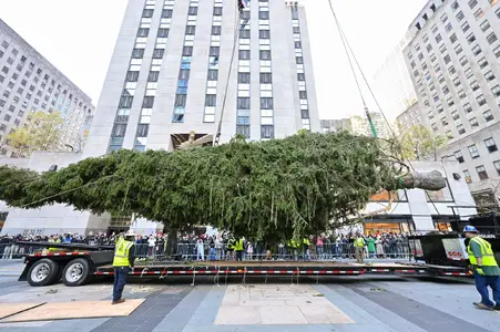 2024-Rockefeller-Center-Christmas-Tree-Arrival-5.webp