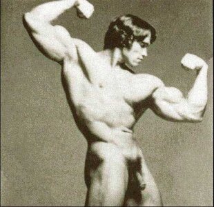 arnold_schwarzenegger-196b9.jpg arnold_schwarzenegger-196b9.jpg