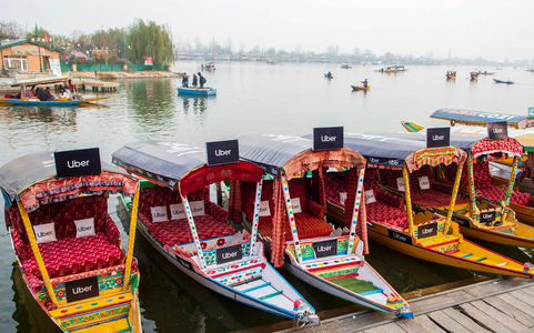 Screenshot 2025-01-02 at 15-21-18 Augenblicke Die Bilder des Tages im Dezember 2024 - DER SPIE...png