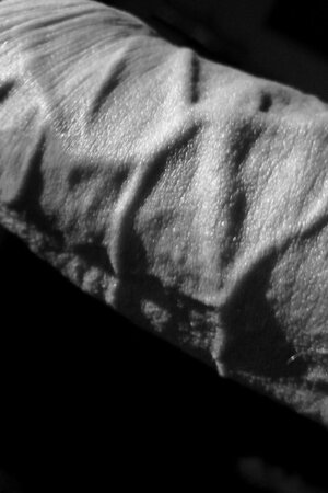 F1DPmpxakAIhmMc (3).jpeg