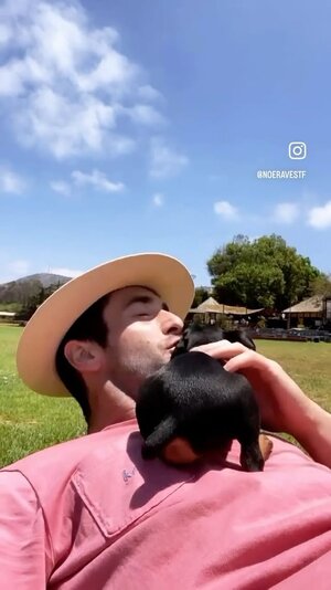 Manuel Noe Ravest Foster 143427043.jpg