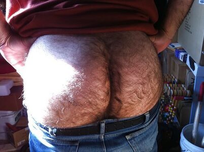 hairyasstumblr_mdbx5kqMcT1ru01p3o1_500.jpg