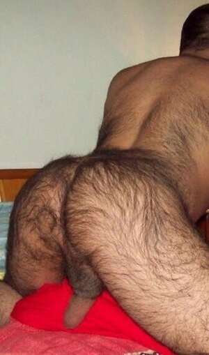 hairyasstumblr_ouhshbz1yM1tmzfr7o1_400.jpg