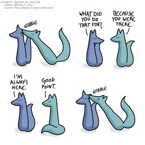 green fox blue fox 6.jpg green fox blue fox 6.jpg