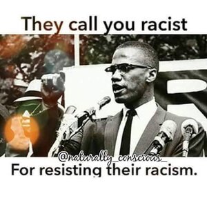 malcolm x racist.jpg