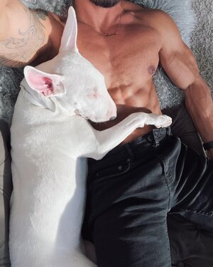 Sid Garabato 246500470.jpg