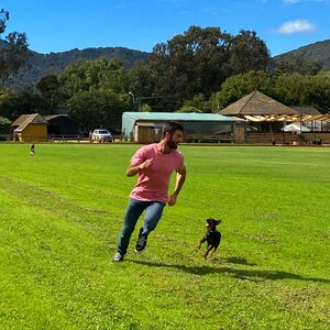 Manuel Noe Ravest Foster 467713941.jpg