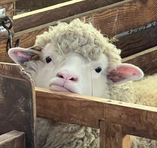 IMG_5807.png IMG_5807.png