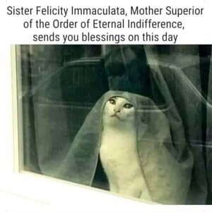 Cat Nun.JPG