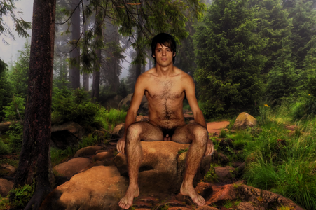 forest rocks (4).png