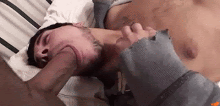 bezerros ninfetinhos (3).gif