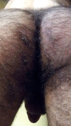 hairy ass0254.jpg