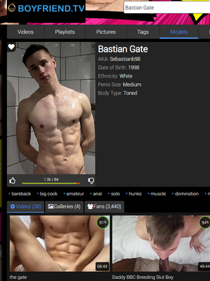 Bastian Gate BFTV.png Bastian Gate BFTV.png