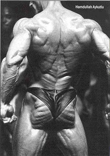 ripped glutes.jpg