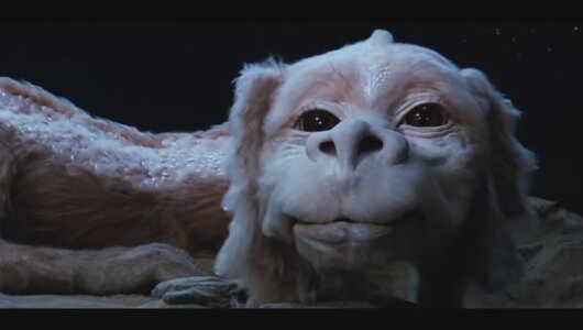 Falkor1234.jpg