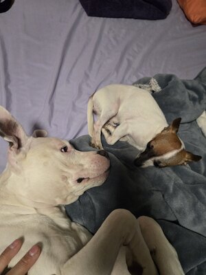 1000007651.jpg 1000007651.jpg