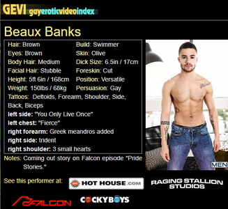 Beau GEVI.png Beau GEVI.png