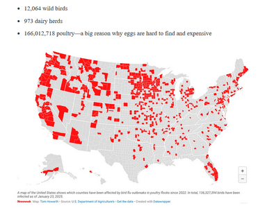 1741304560265.png 1741304560265.png