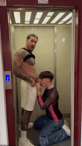 elevador o roe oe.gif