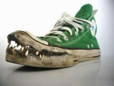converse-crocodiler.jpg