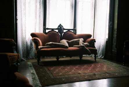 7 Javier Oseguera.jpg