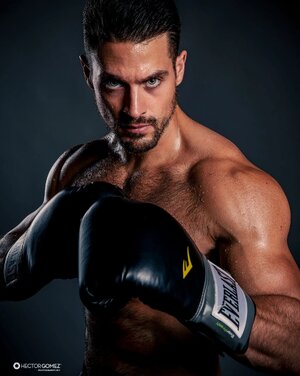 boxer JCA_3390-5..jpg