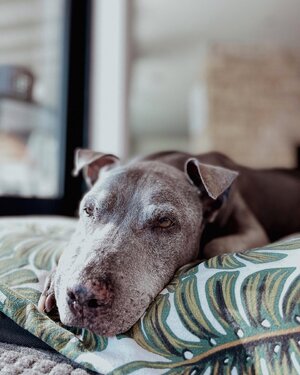 4 Joel Mejia Smith and Jade-the last day (1).jpg