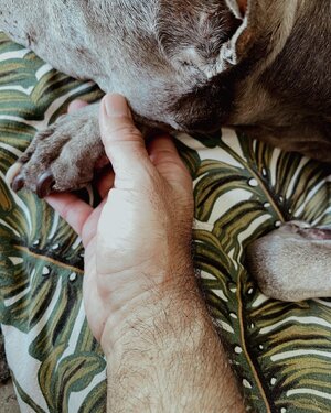 5 Joel Mejia Smith and Jade-the last day (2).jpg