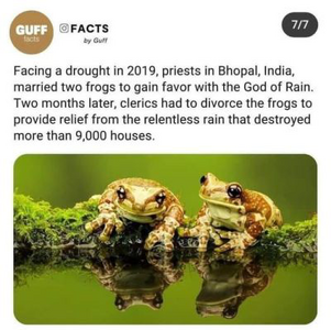 IMG_0201.png IMG_0201.png