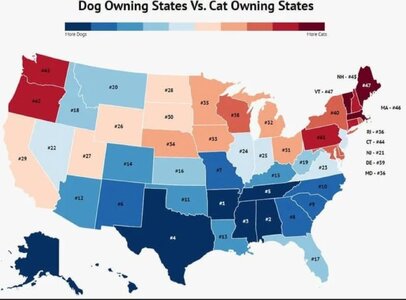 Cat_Dog-Map.jpg