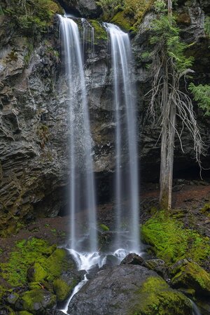 1615941911-Grotto Falls OR.jpg