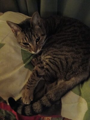 le squeak 20250405_053332.jpg