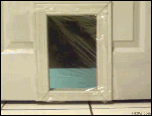cat-door.gif