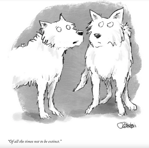 Screenshot 2025-04-13 .png