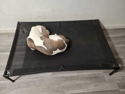 1000007995.jpg 1000007995.jpg