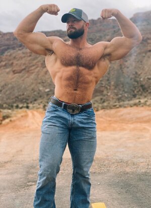 @tracetrainer on twitter 01.jpg