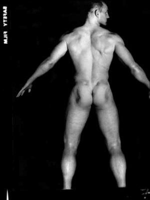 LawrenceDallaglio05.jpg