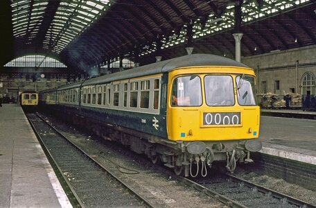 IMG_4732.jpeg IMG_4732.jpeg