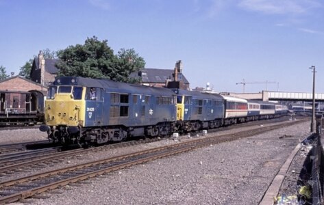 IMG_7210.jpeg IMG_7210.jpeg