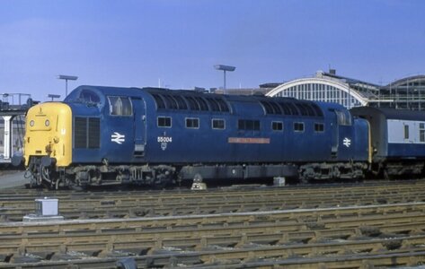 IMG_2046.jpeg IMG_2046.jpeg