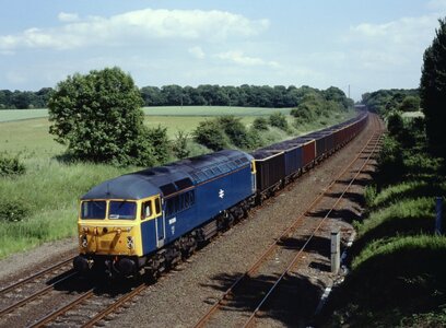 IMG_4787.jpeg IMG_4787.jpeg